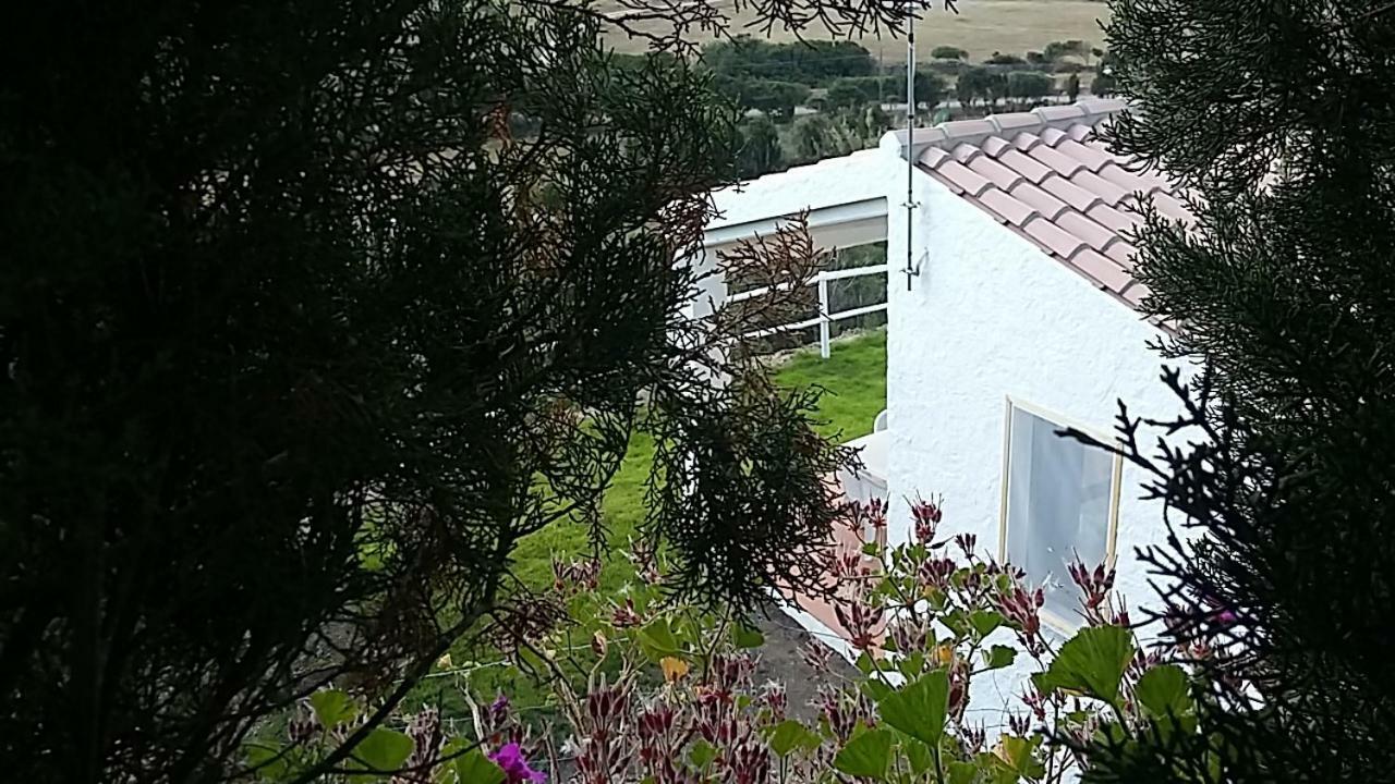 Agriturismo La Valletta Ξενοδοχείο Santa Teresa Gallura Εξωτερικό φωτογραφία