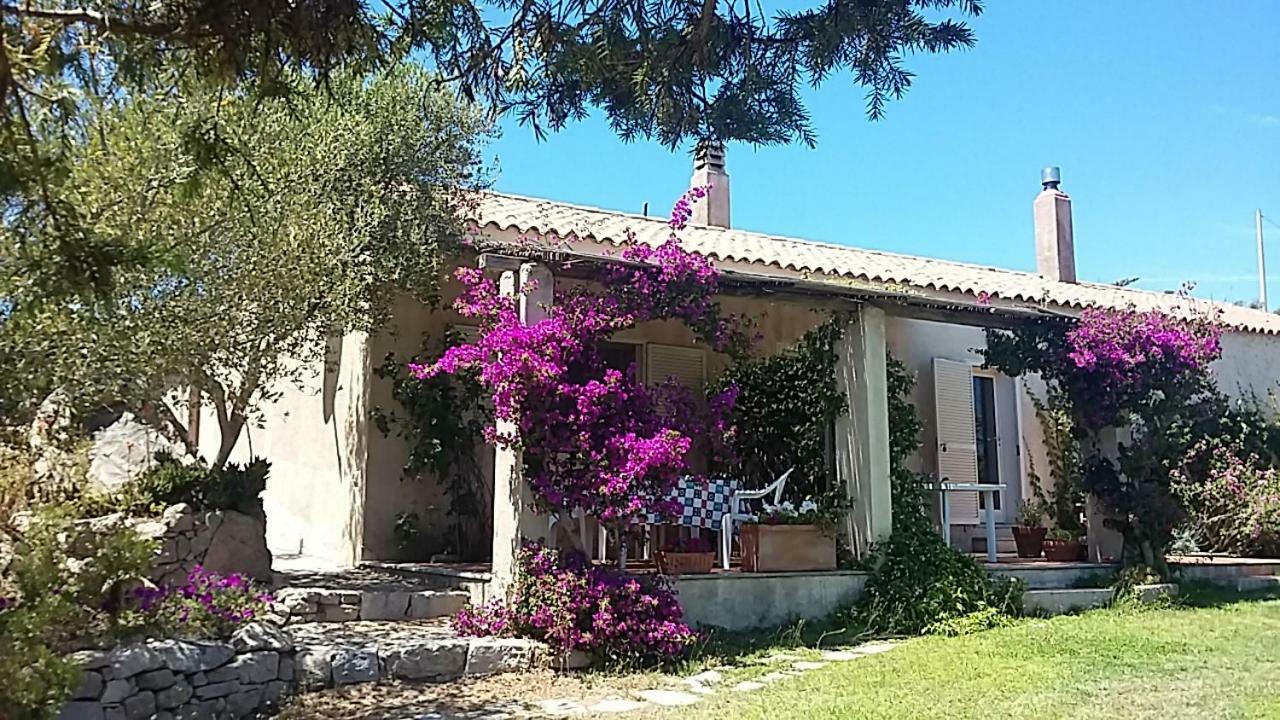 Agriturismo La Valletta Ξενοδοχείο Santa Teresa Gallura Εξωτερικό φωτογραφία