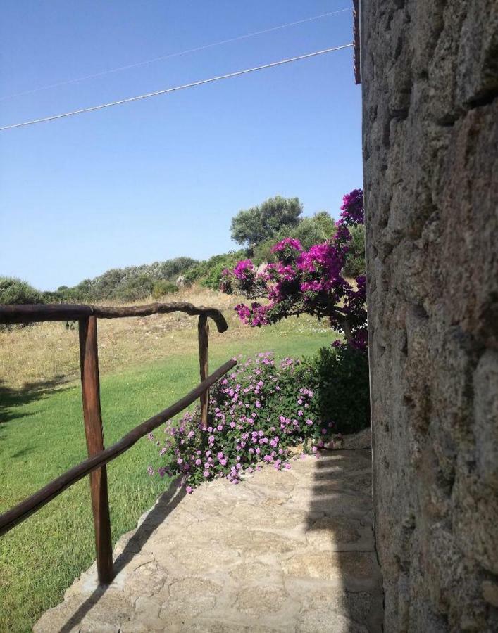Agriturismo La Valletta Ξενοδοχείο Santa Teresa Gallura Εξωτερικό φωτογραφία