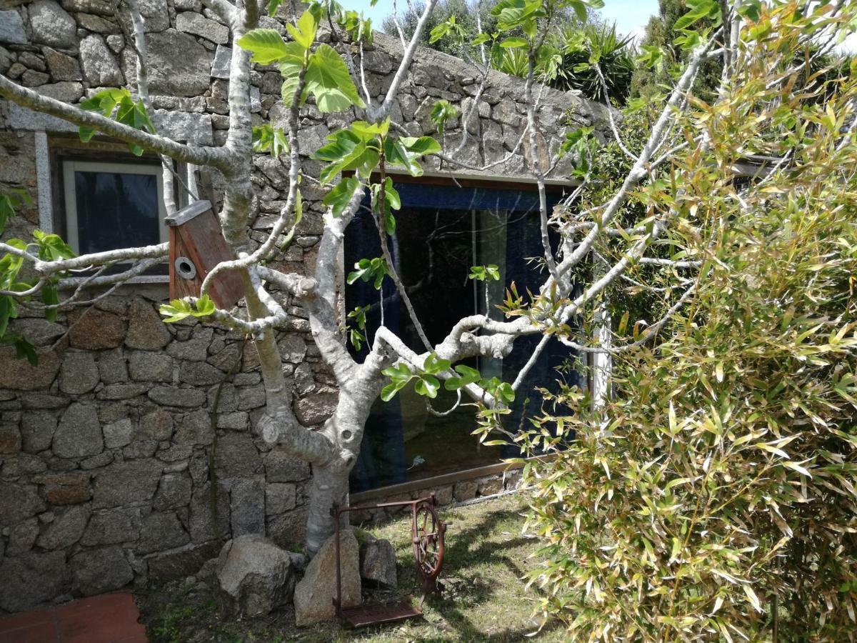 Agriturismo La Valletta Ξενοδοχείο Santa Teresa Gallura Εξωτερικό φωτογραφία