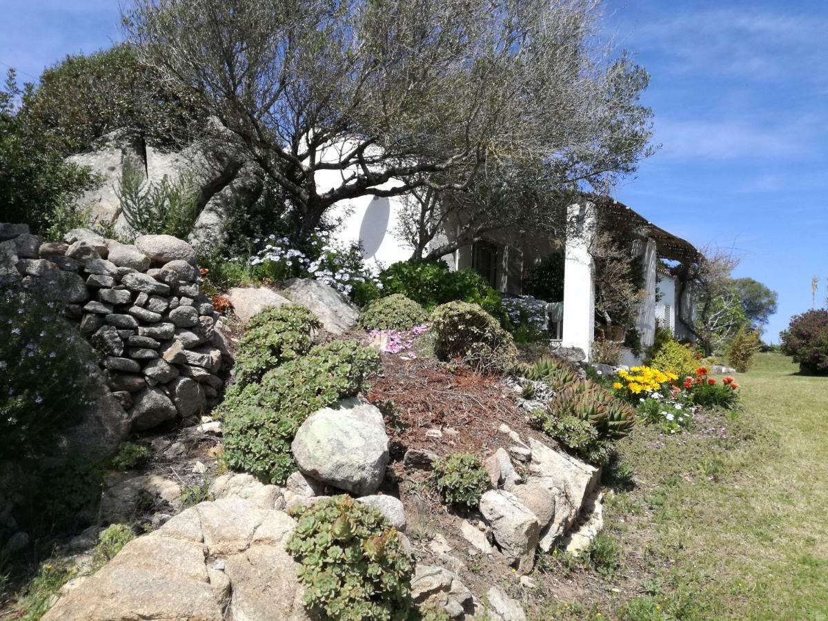 Agriturismo La Valletta Ξενοδοχείο Santa Teresa Gallura Εξωτερικό φωτογραφία